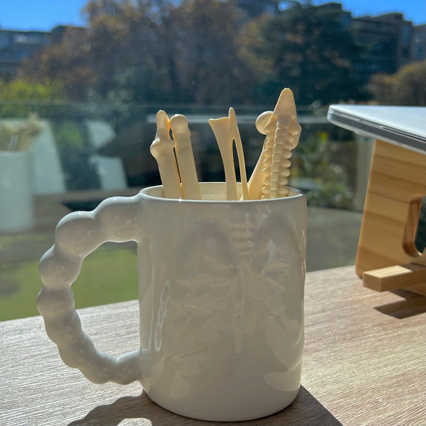 Assorted Bone Pens