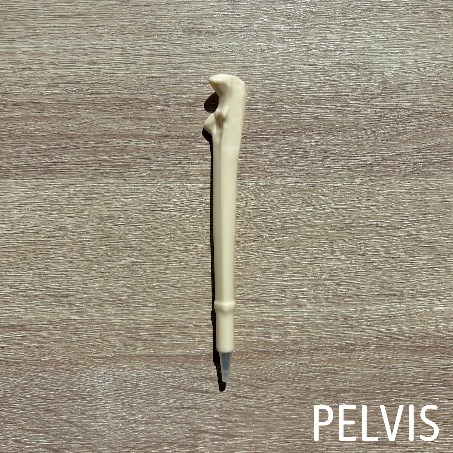 Assorted Bone Pens
