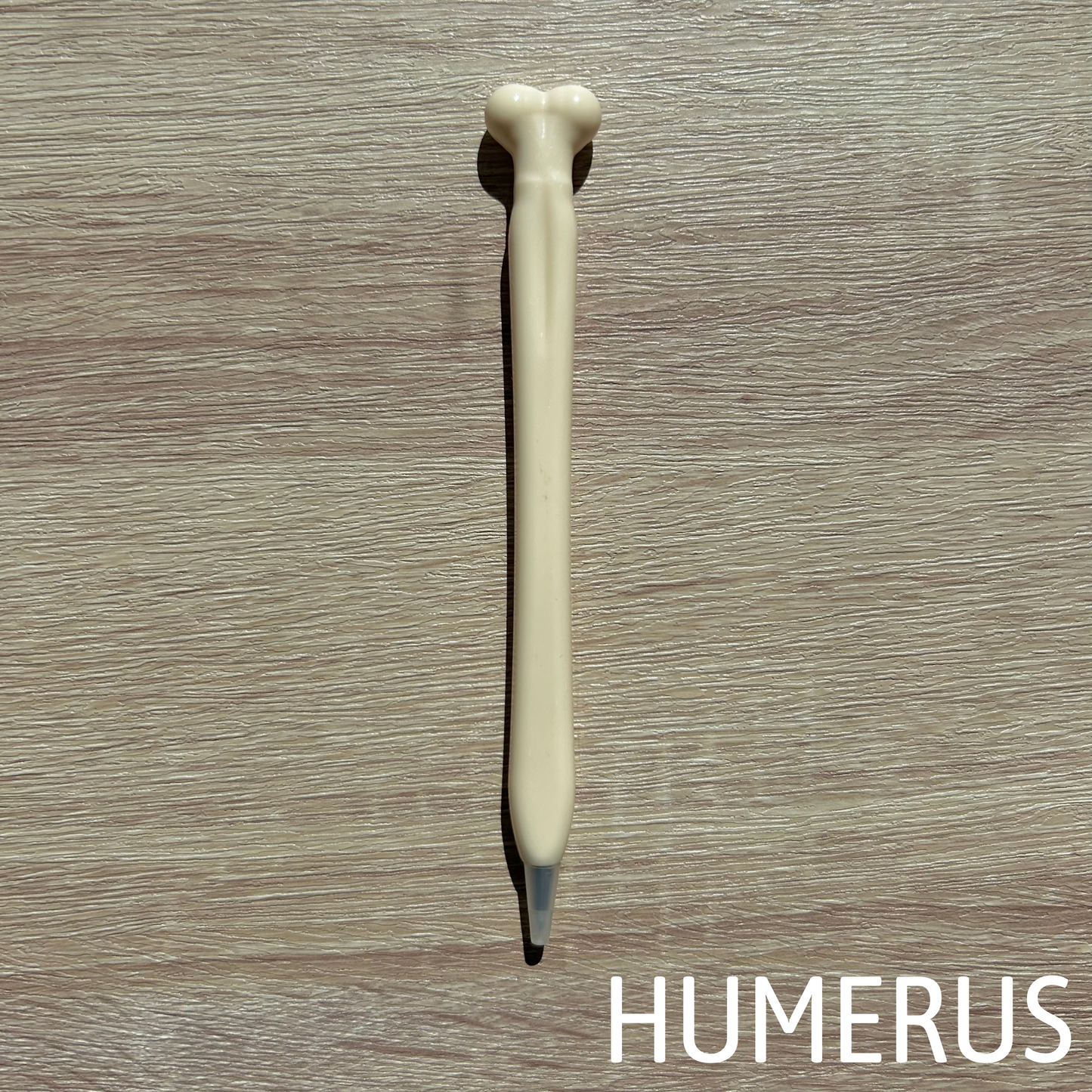 Assorted Bone Pens