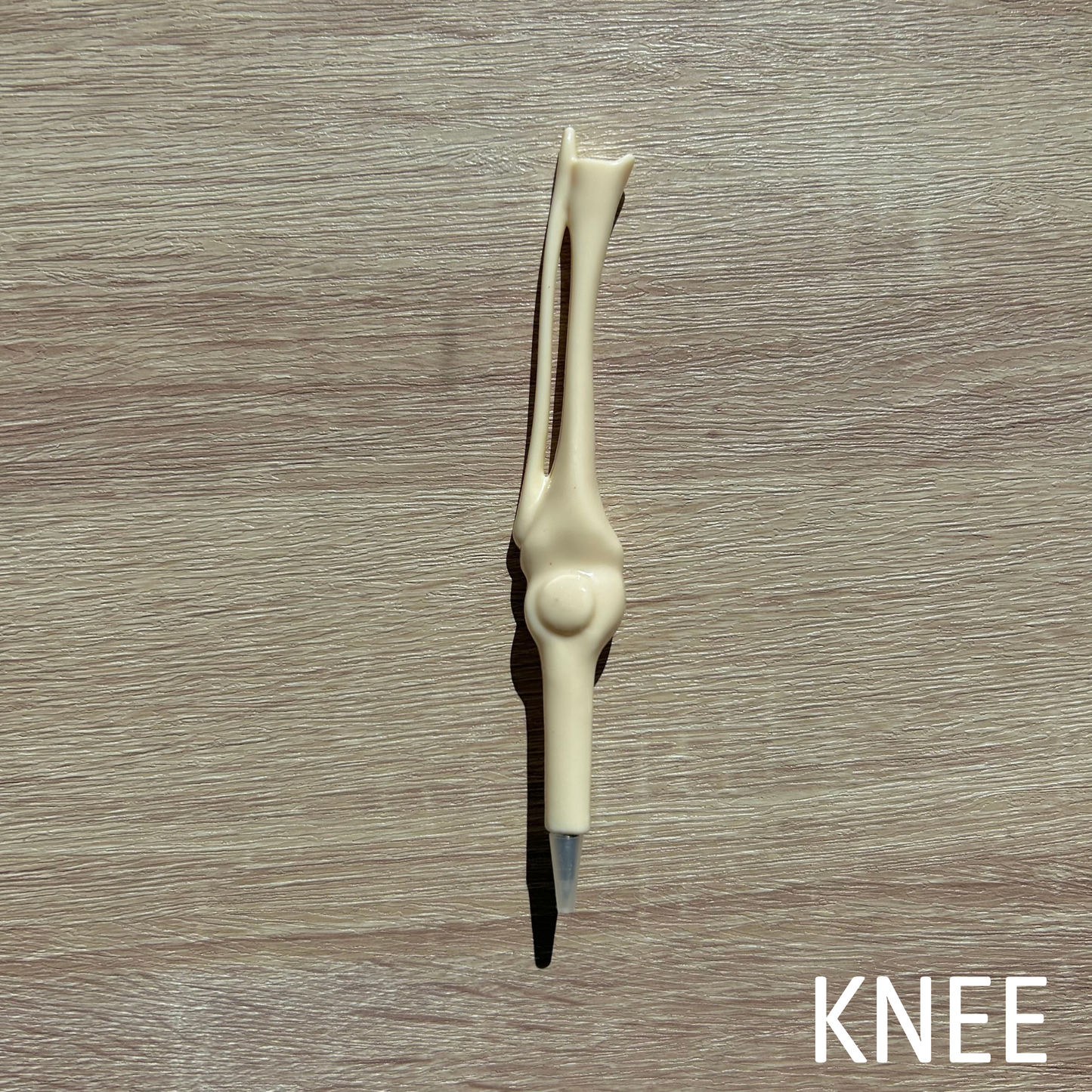 Assorted Bone Pens