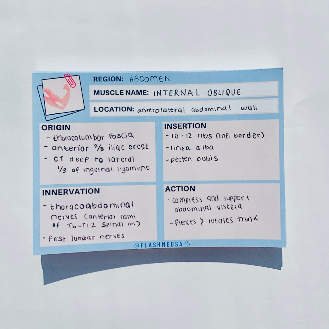 The Muscle Anatomy Flashcards Notepad